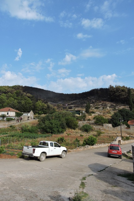 Blackened hill side after Sunday's fire